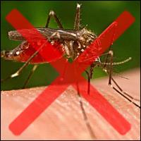 Mosquito Control Guys image 1